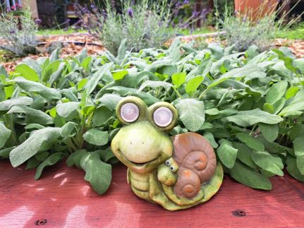 Visegrádi Kincseskert4