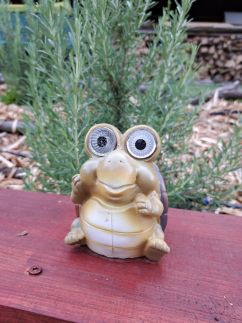 Visegrádi Kincseskert5