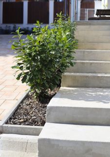 Bakony Kincse Vendégház9