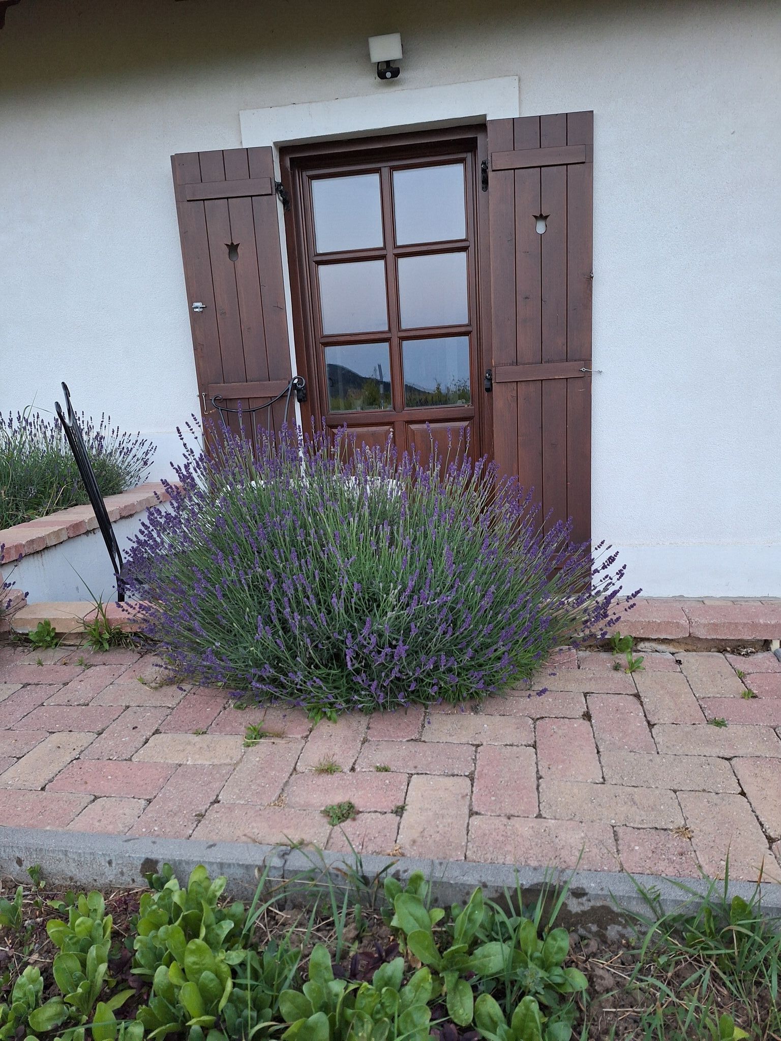 Casa Beata – Lesencetomaj fotó 3