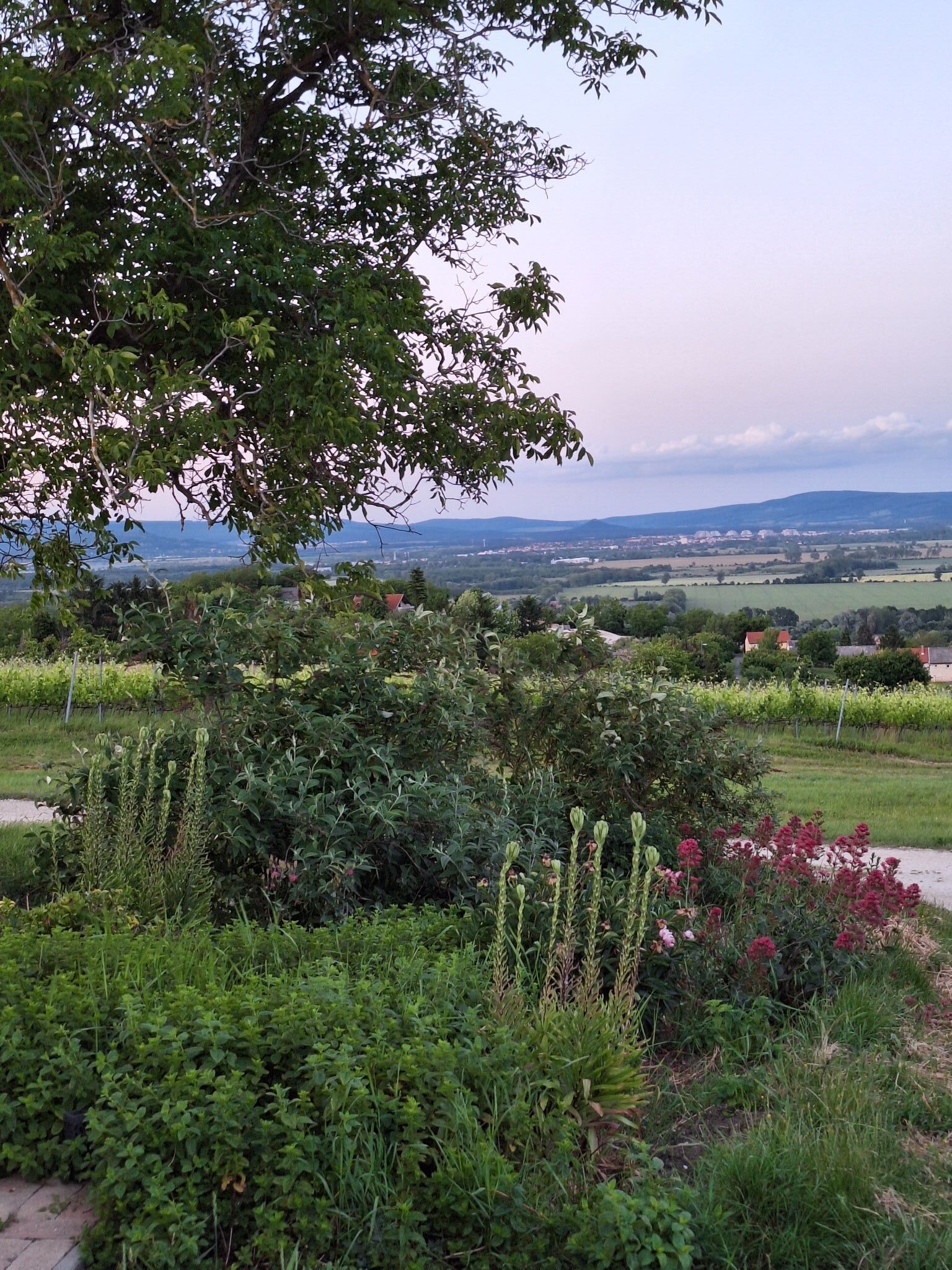 Casa Beata – Lesencetomaj fotó 5