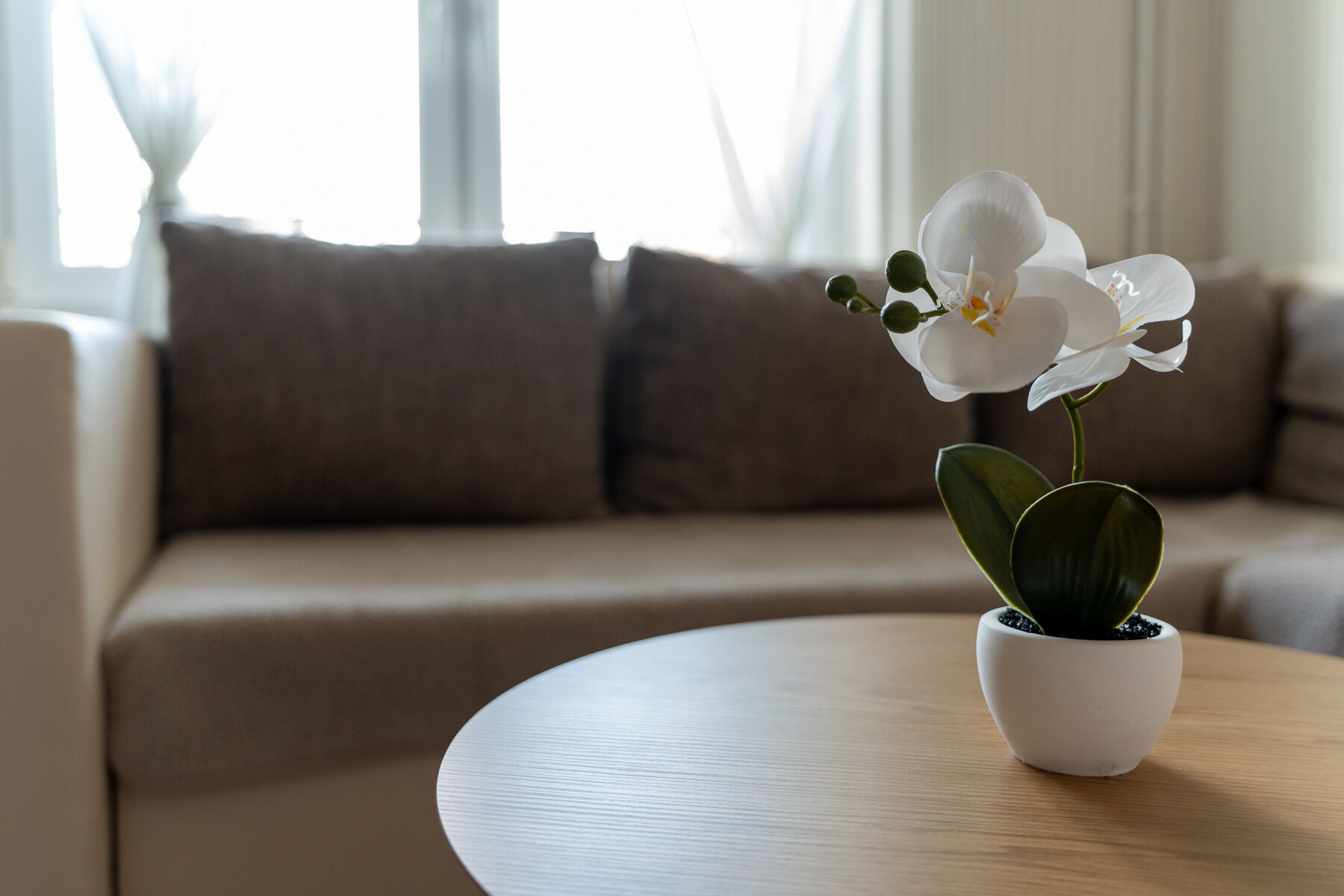 Lagom Vendégház – Zalaszentgrót fotó 31