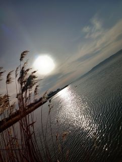 Black Swan Panoráma Apartman6