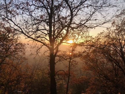 Dorombolós Vendégház13