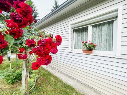 VisszavárLak Apartman12