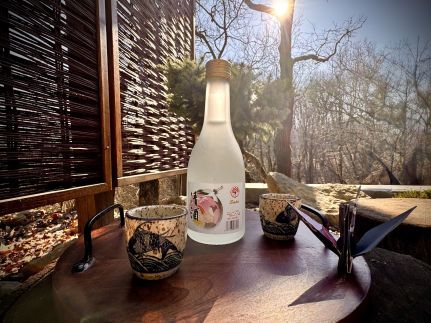 myIKIGAI Vendégház Kismaros41