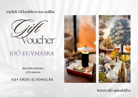 myIKIGAI Vendégház Kismaros47