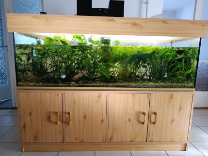 Balázs Vendégháza11