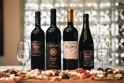 Polgár Elixír Hotel6