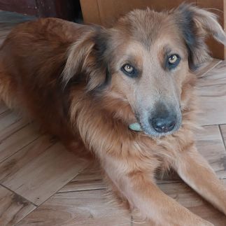 Varázshegy Vendégház16