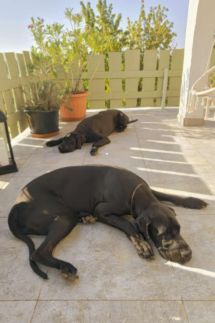 Varázshegy Vendégház17