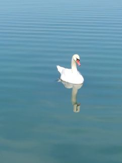 Négy Évszak Hotel9