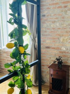 LíraLoft Apartman17