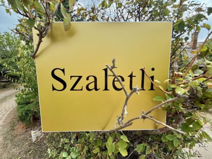 Szaletli13