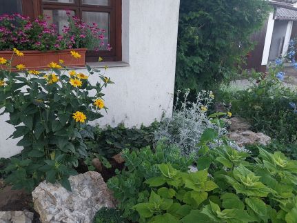 Kertész Vendégház5