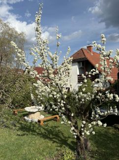 Rigódal Vendégház33