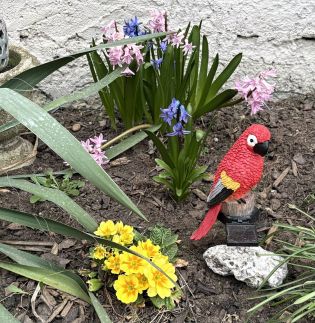 Rigódal Vendégház8