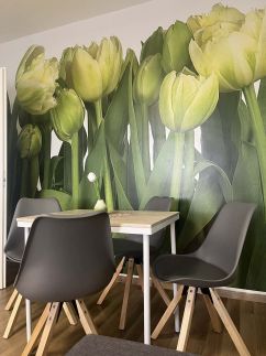 Green Harmony Apartman1