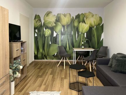 Green Harmony Apartman