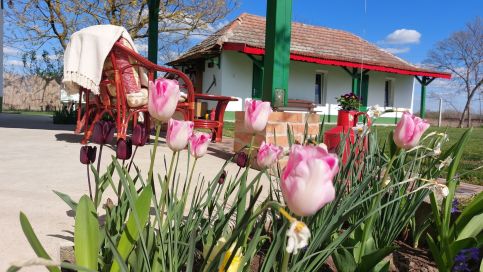 Konyhadülő Vendégház3