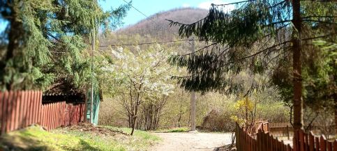 Báránykő Apartman11