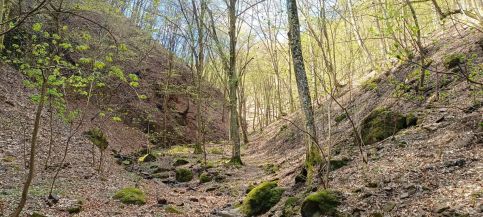 Báránykő Apartman12