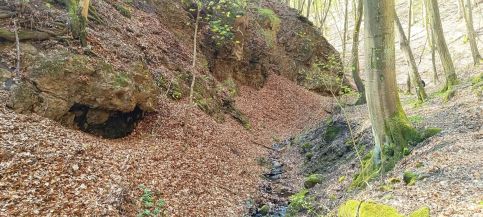 Báránykő Apartman13