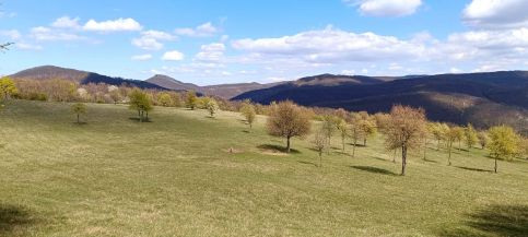 Báránykő Apartman14