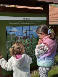 Erdő mellett lebzselő Vendégház1