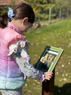 Erdő mellett lebzselő Vendégház2