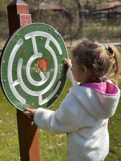 Erdő mellett lebzselő Vendégház3