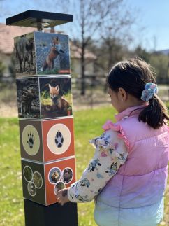 Erdő mellett lebzselő Vendégház4