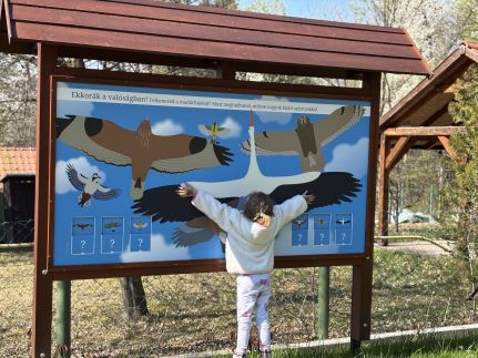 Erdő mellett lebzselő Vendégház5