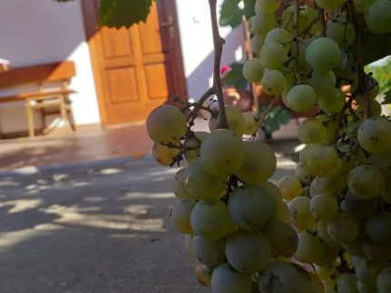 Héhely Vendégház3