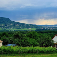 Erdődi Birtok - Dióliget