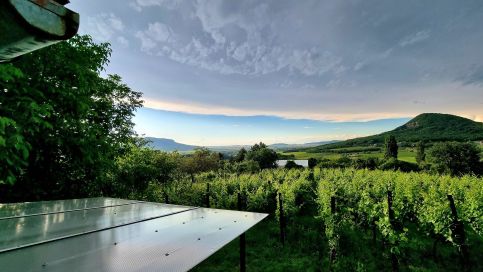 Erdődi Birtok - Dióliget2