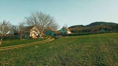 Erdődi Birtok - Dióliget3