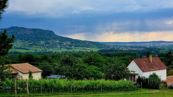 Erdődi Birtok - Dióliget