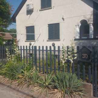 Miklós Magánszálláshely7