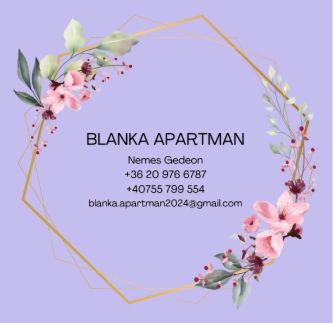 Blanka Apartman Plage16