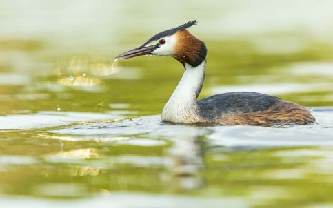 Dunai Menedék Vendégház-29