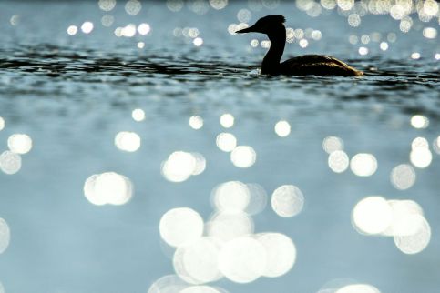 Dunai Menedék Vendégház-30