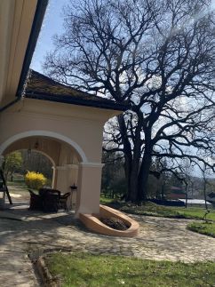 Záhorszky-Prónay kúria10