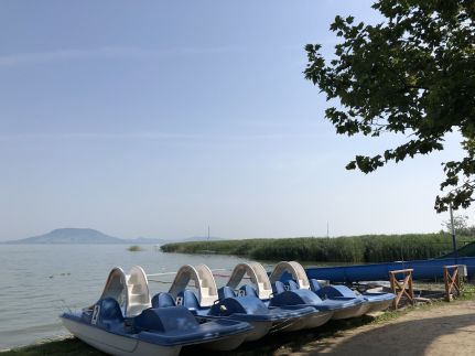 Wave77- Balatonfenyves118