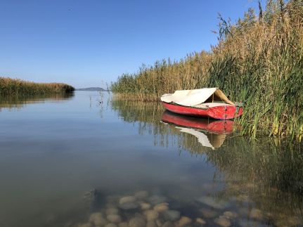 Wave77- Balatonfenyves105