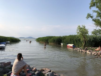 Wave77- Balatonfenyves115