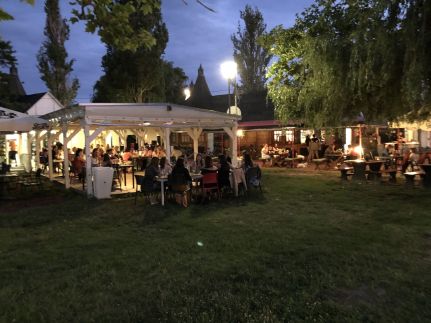 Wave77- Balatonfenyves166