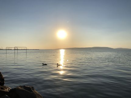 Wave77- Balatonfenyves186