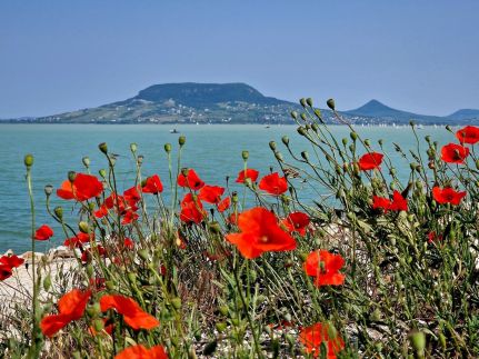 Wave77- Balatonfenyves59