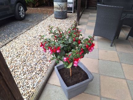 Krisztina Apartman15